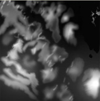 Visualization of Sample Region Map Matrix